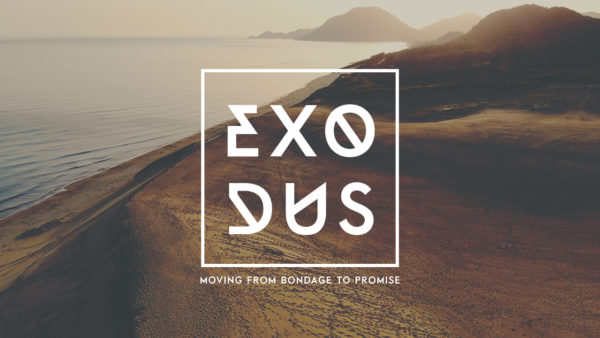 Episode 14: Moses to Joshua Image
